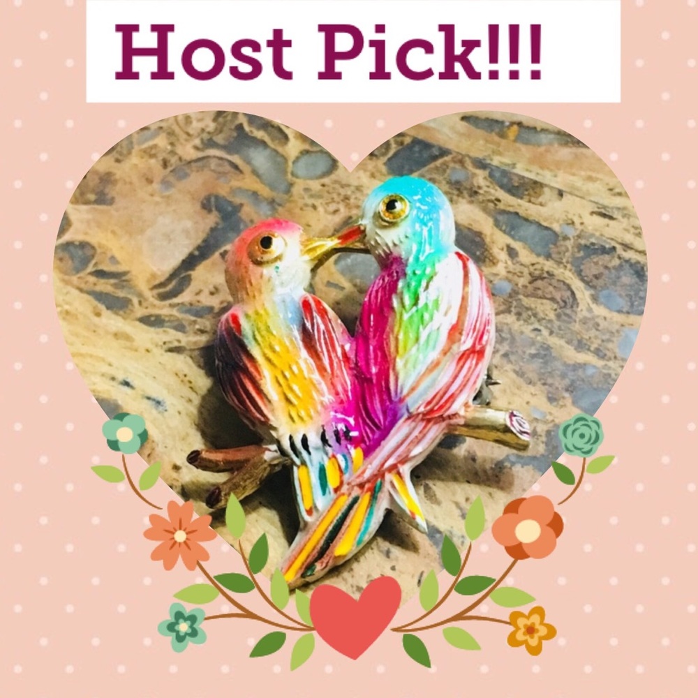 🎉HP!! ❤️Birds Brooch 🎉